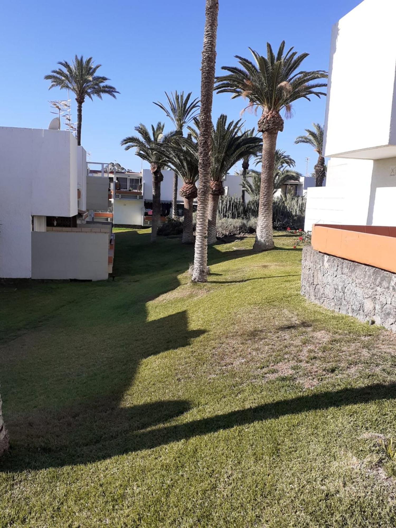 Precioso Apartamento Costa Del Silencio Exterior foto